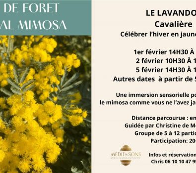 Bain de forêt spécial Mimosa